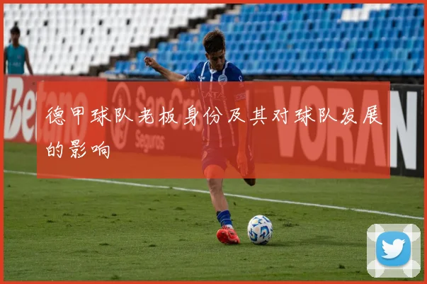 德甲球队老板身份及其对球队发展的影响
