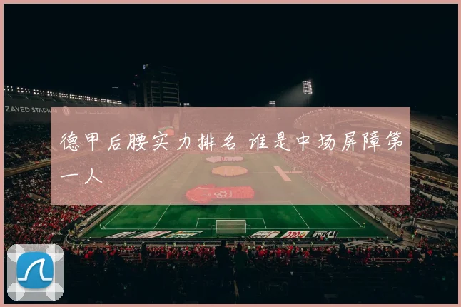 德甲后腰实力排名 谁是中场屏障第一人