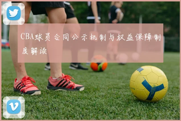 CBA球员合同公示机制与权益保障制度解读