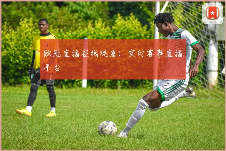 欧冠直播在线观看：实时赛事直播平台
