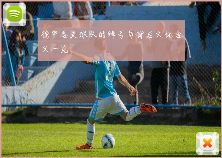 德甲各支球队的绰号与背后文化含义一览