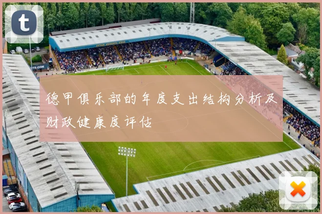 德甲俱乐部的年度支出结构分析及财政健康度评估