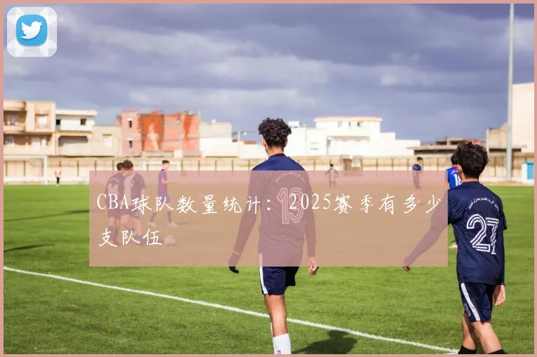 CBA球队数量统计：2025赛季有多少支队伍