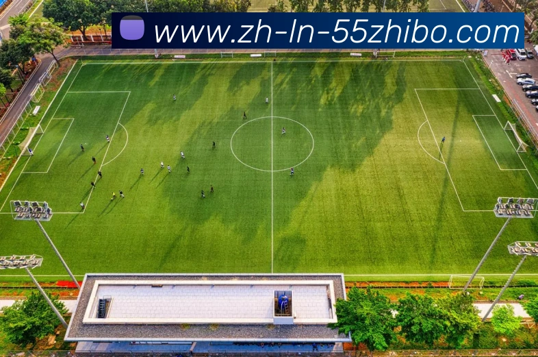 广厦CBA战胜“北足球”？标题误导现象分析